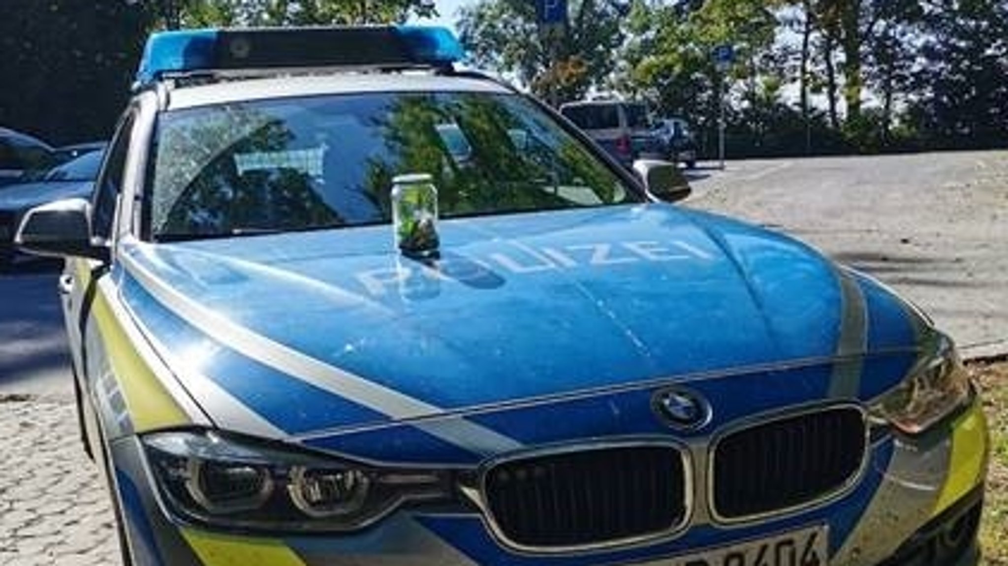 Das Glas mit dem Skorpion auf einem  Dienstwagen der Polizei