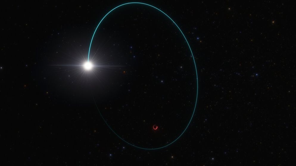 Im Weltraum ist ein Schwarzes Loch durch einen kleinen orange-farbigen Kreis dargestellt. Dieses Schwarze Loch wird von einem Stern umkreist, der als hell leuchtender Punkt dargestellt wird. Seine Umlaufbahn ist in blauer Farbe eingezeichnet.  | Bild:ESO/L. Calçada