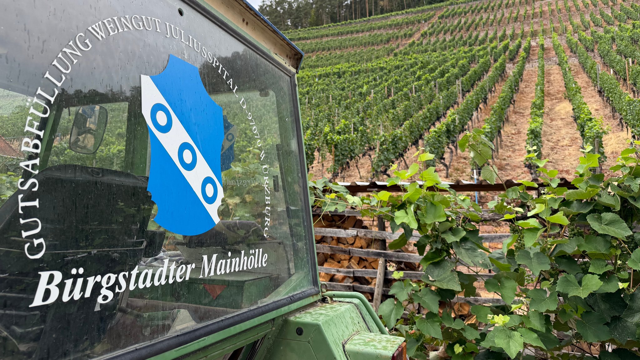 Ein Schlepper fährt unten am Weinberg "Mainhölle" vorbei, darüber sind die vielen Weinreben zu sehen | Bild: BR/ Katrin Küx Ein Schlepper fährt unten am Weinberg "Mainhölle" vorbei, darüber sind die vielen Weinreben zu sehen