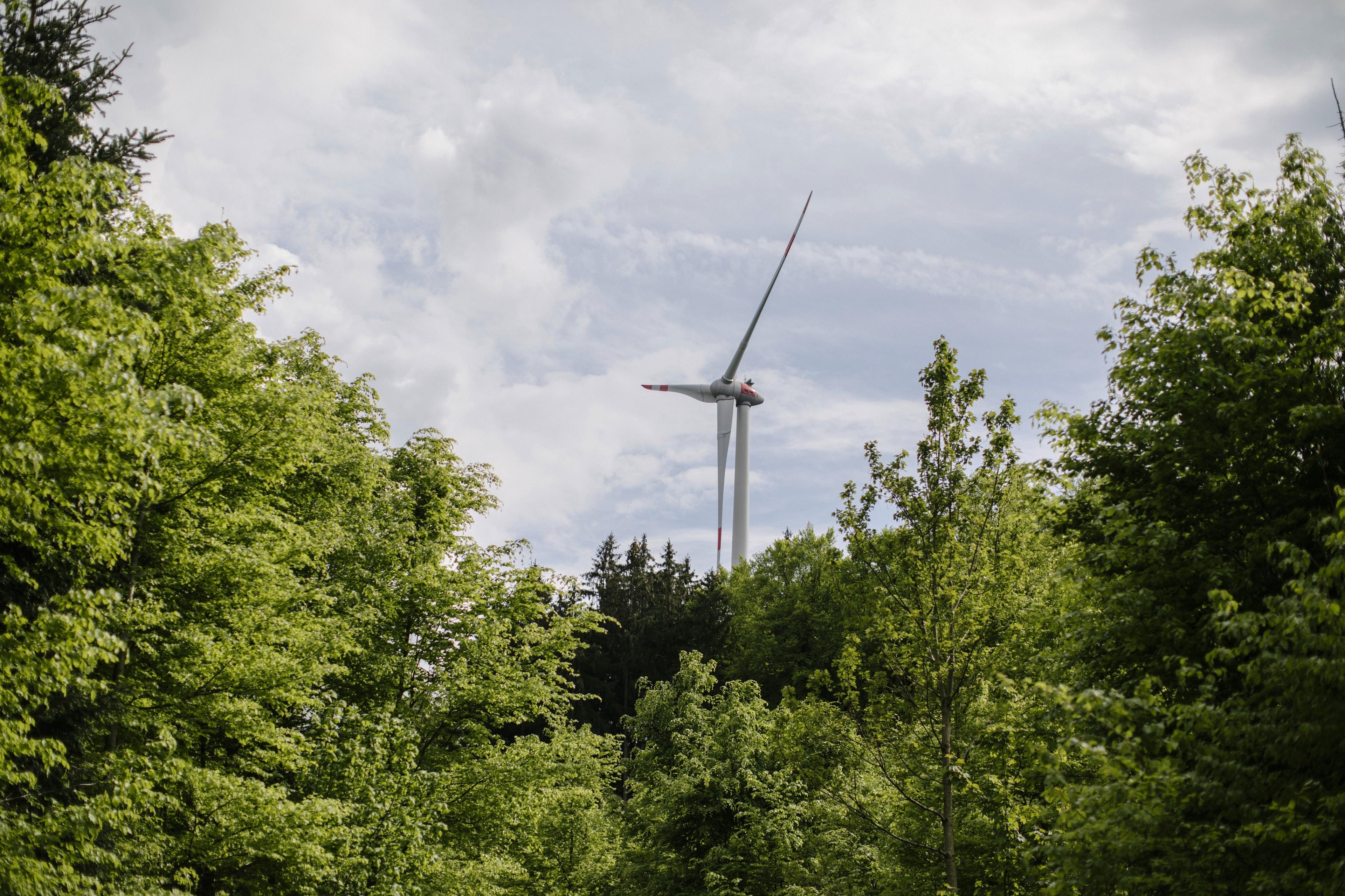 Windkraftanlage im Wald (Symbolbild)