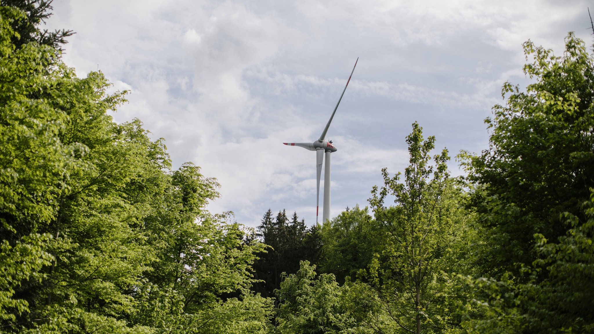 Windkraftanlage im Wald (Symbolbild)