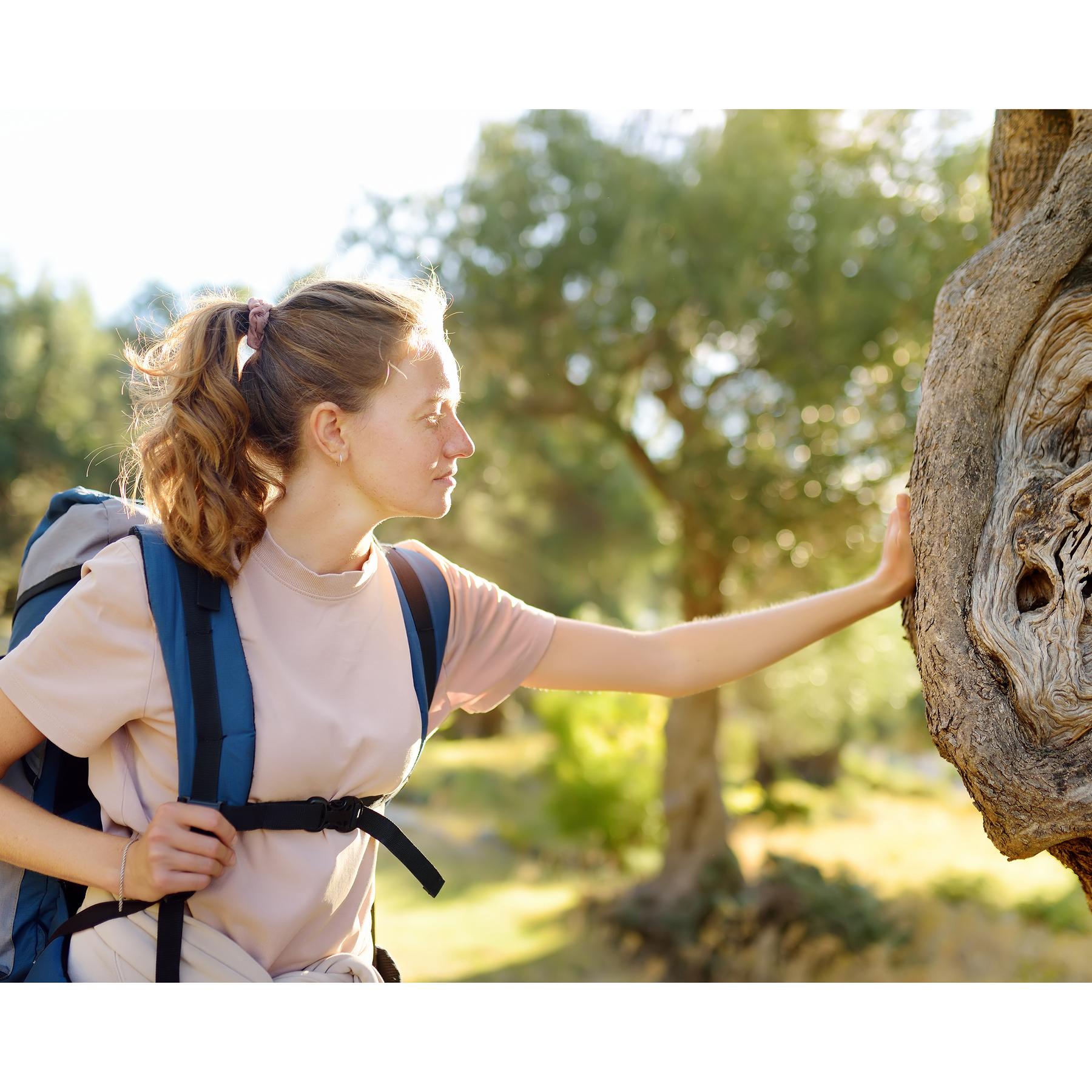"Natur muss gefühlt werden" - Die Erfindung des Stadtparks und andere Parkgesch episode artwork