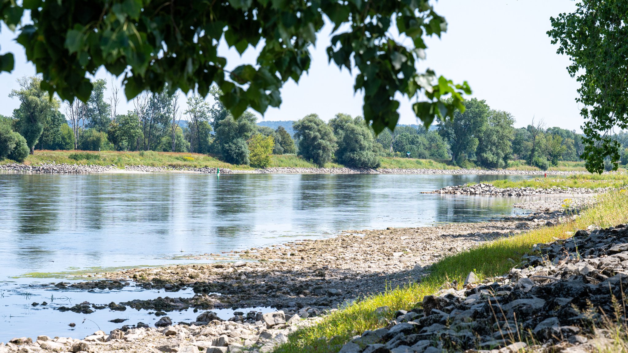 Niedrigwasser: Was bedeutet das für die bayerische Wirtschaft?