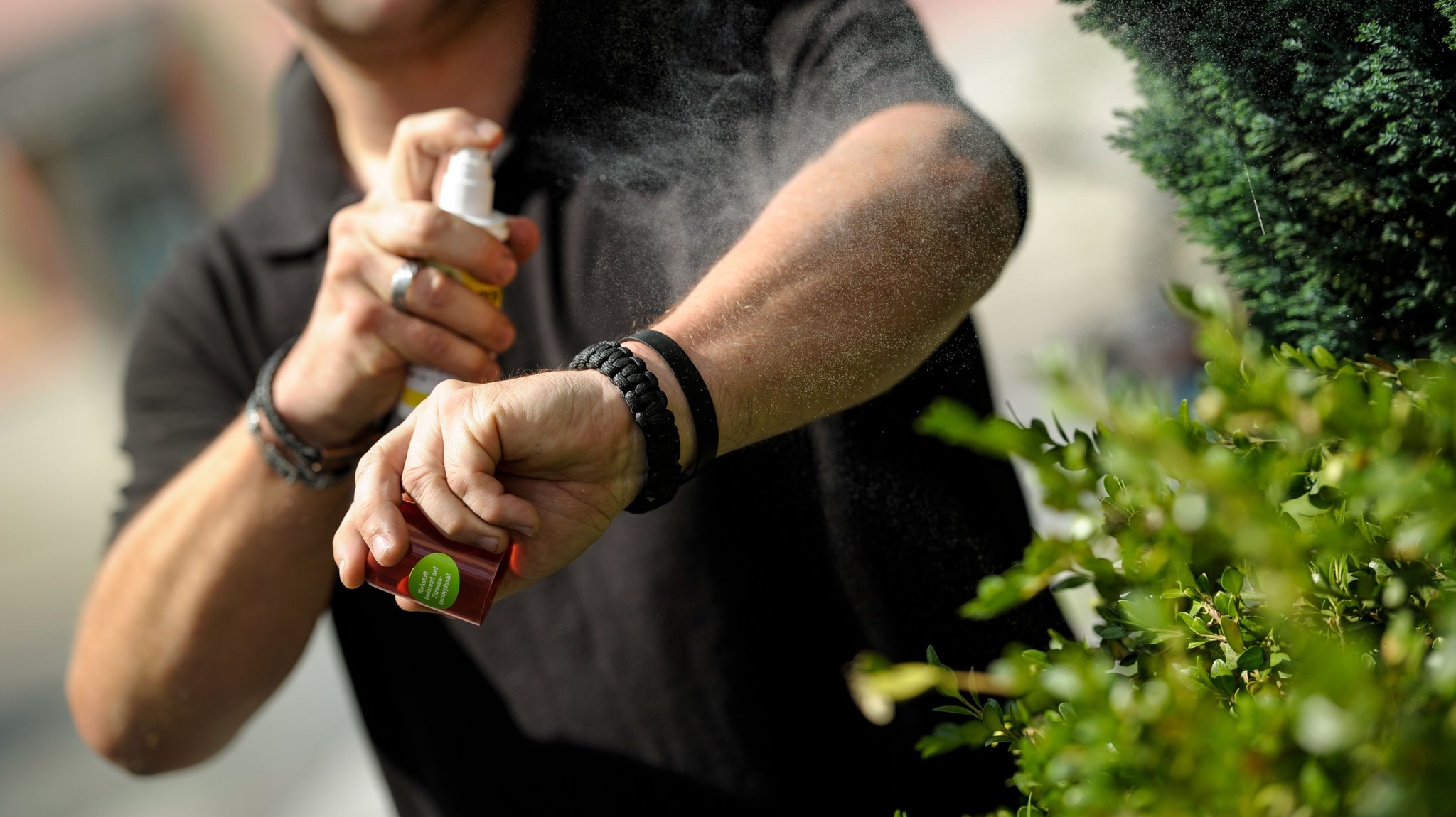 DEET, Icaridin und Co.: Welche Mückenmittel helfen wirklich?