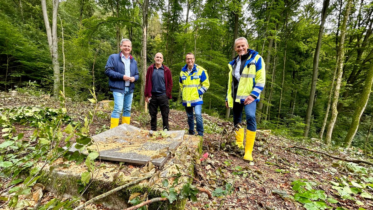 Projekt in Hersbruck: Kahlschlag soll das Grundwasser schützen