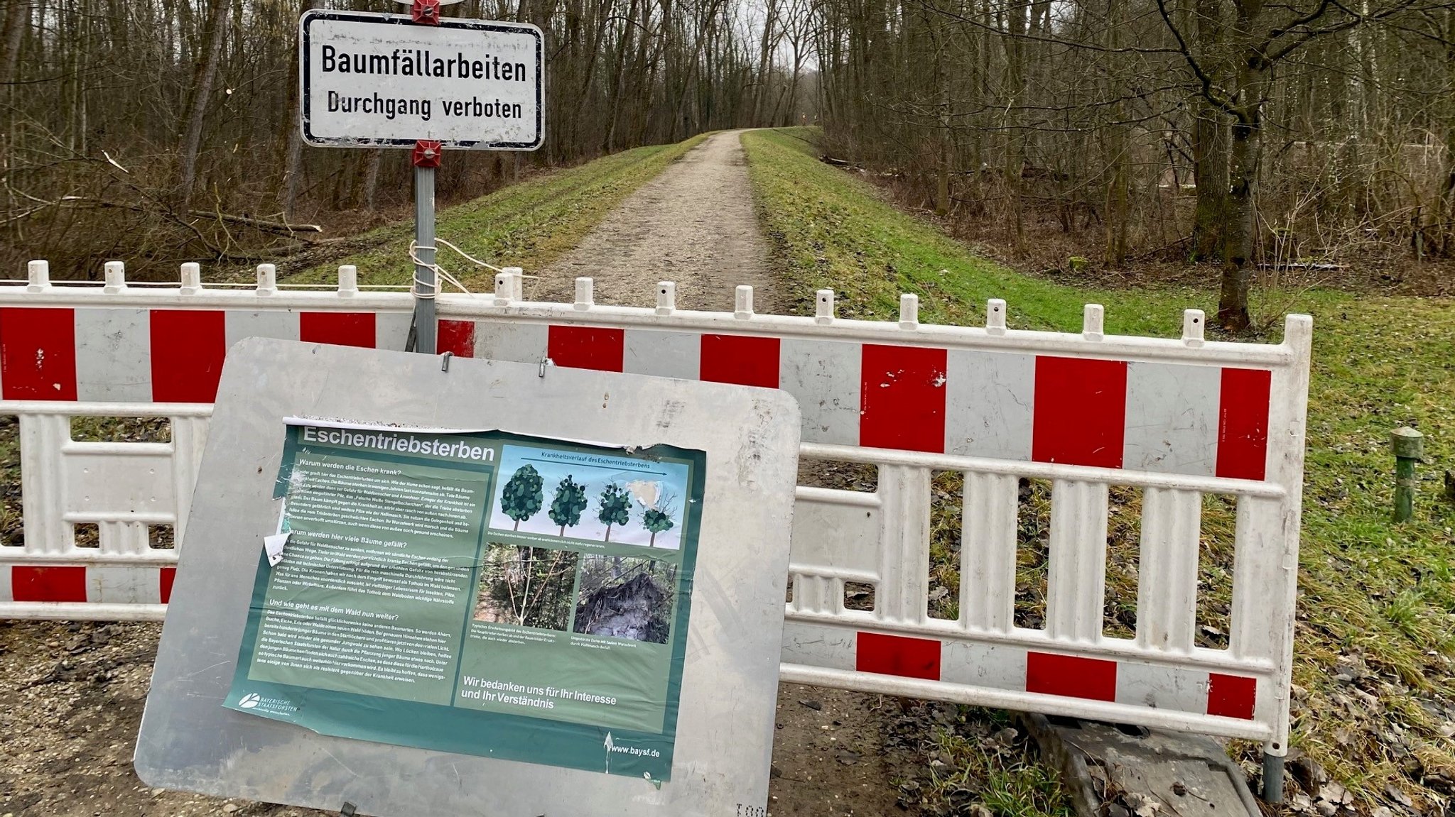 Ein wegen Baumfällarbeiten gesperrter Weg