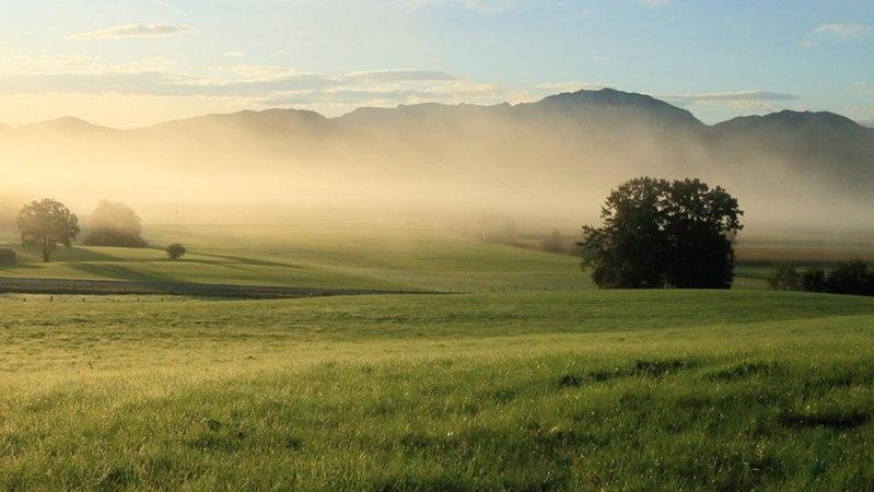 Wiese vor Bergen am Morgen in Bayern | Bild: stock.adobe.com/rupbilder Wiese vor Bergen am Morgen in Bayern