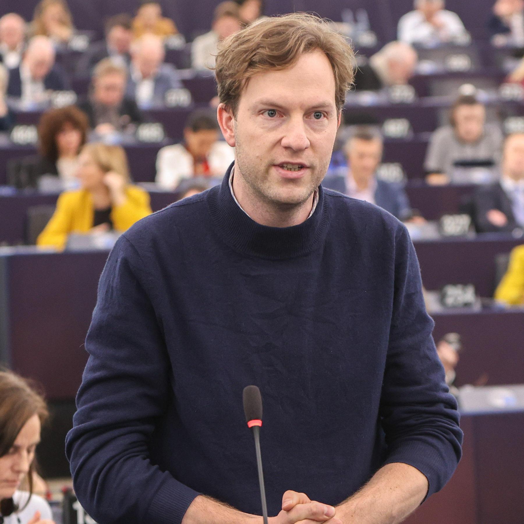 Damian Boeselager, Volt: 