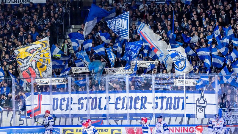 Die Straubinger Fans machen Stimmung. (Archivbild) | Bild: picture alliance / Eibner-Pressefoto | Eibner-Pressefoto/Harry Schindler Die Straubinger Fans machen Stimmung. (Archivbild)