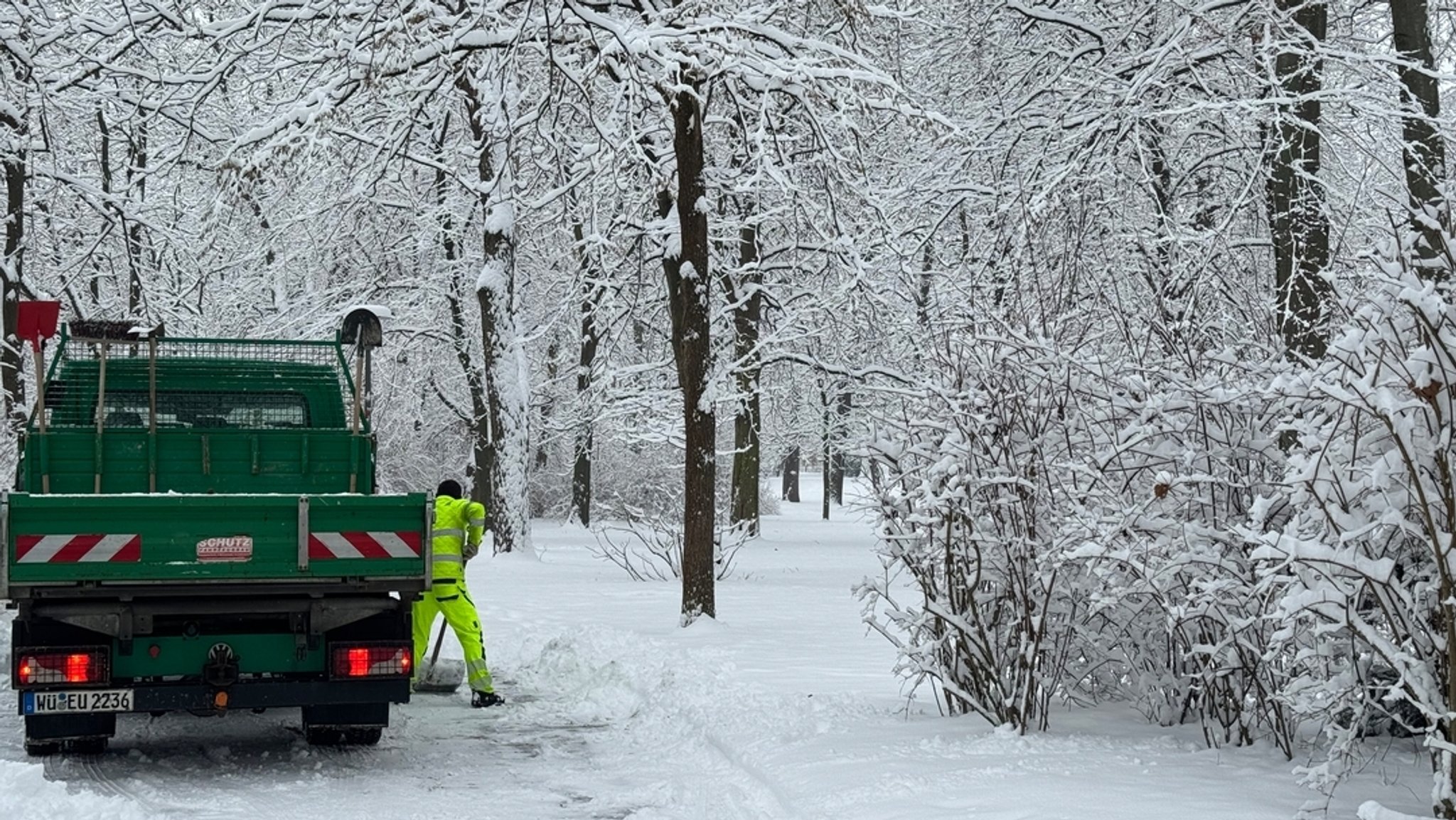 Verschneite Bäume in Würzburg – die Behörden warnen vor Schneebruch. | Bild: BR/Pirmin Breninek Verschneite Bäume in Würzburg – die Behörden warnen vor Schneebruch.