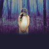 Liz Moore: Der Gott des Waldes | Bild: picture alliance / Montage: BR