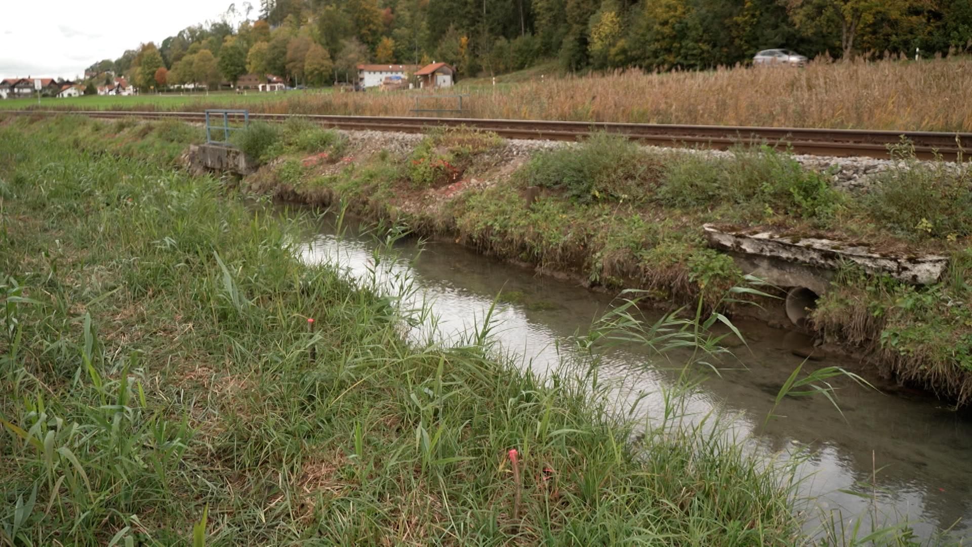 Erst sorgten Biberschäden am Bahndamm für die Streckensperrung zwischen Sonthofen und Oberstdorf, dann weichten starke Regenfälle den Damm auf. 