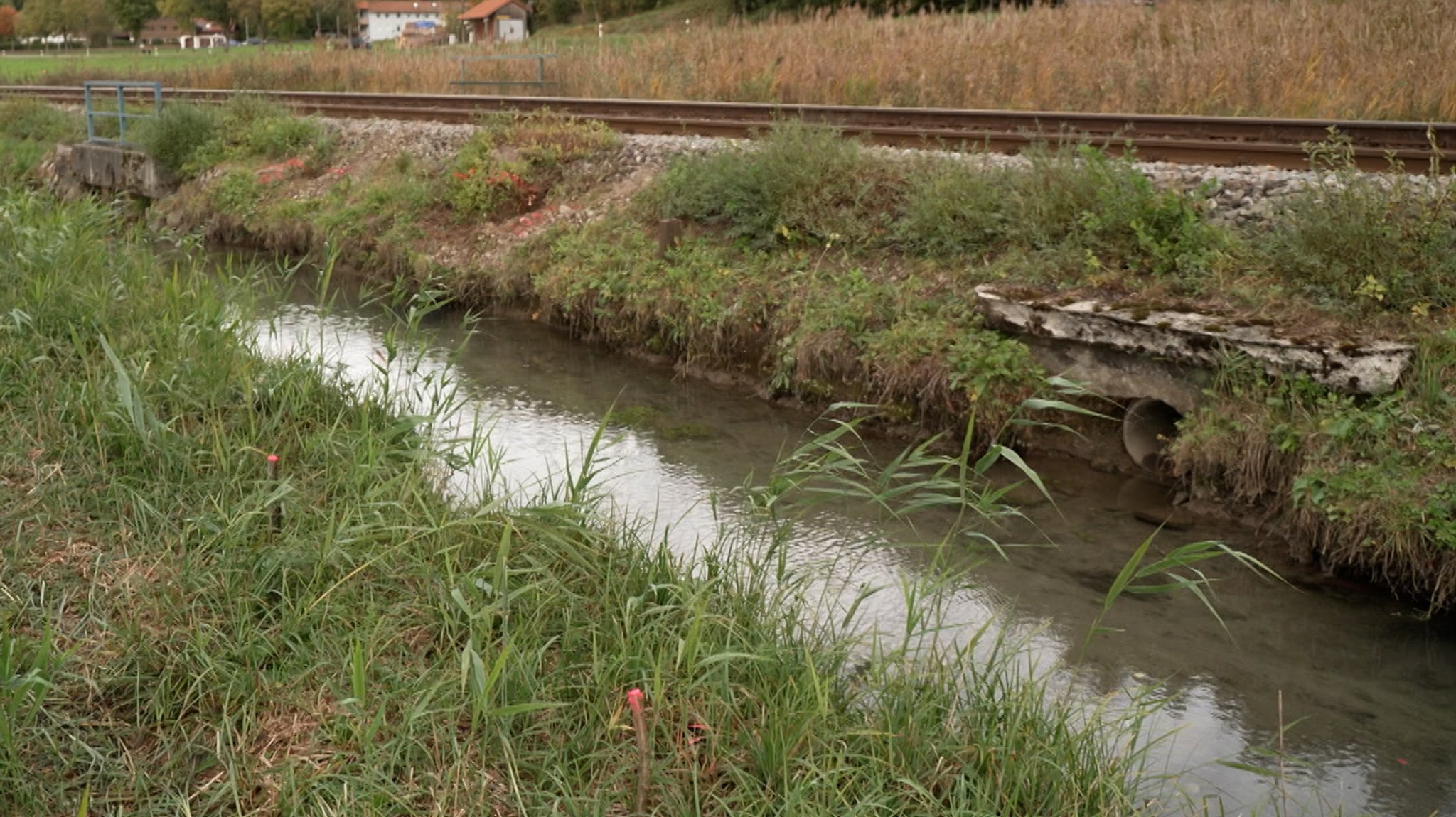 Erst sorgten Biberschäden am Bahndamm für die Streckensperrung zwischen Sonthofen und Oberstdorf, dann weichten starke Regenfälle den Damm auf. 