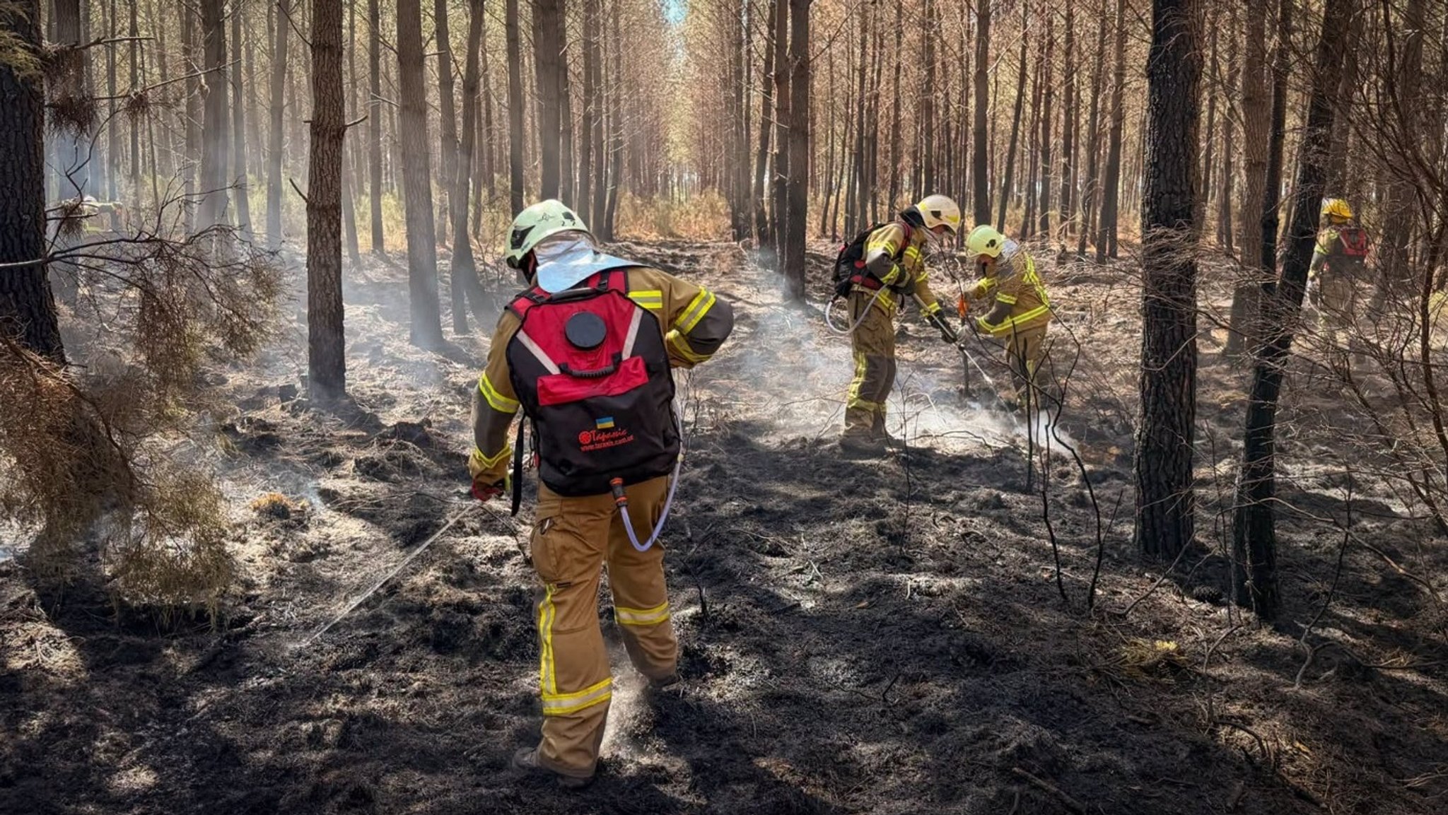 Ukrainische Feuerwehrleute löschen einen Brand in der Region Bordeaux (Frankreich). | Bild: SES of Ukraine Ukrainische Feuerwehrleute löschen einen Brand in der Region Bordeaux (Frankreich).