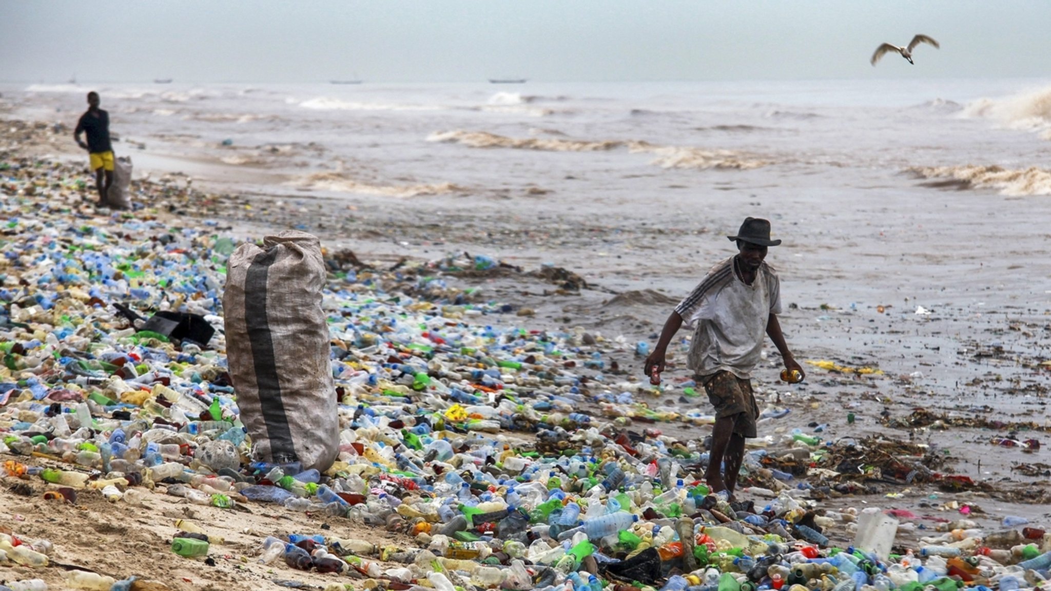 Plastikmüll am Meeres-Strand: Machen wir weiter so wie bisher, landen im Jahr 2040 etwa 2,5-mal so viele Plastikabfälle und Kunststoffe im Meer und in der Umwelt an Land, das zeigt eine aktuelle Studie.