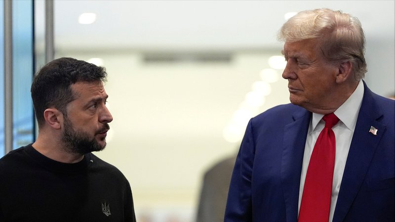 Der republikanische Präsidentschaftskandidat und ehemalige Präsident Donald Trump (r) trifft Wolodymyr Selenskyj, Präsident der Ukraine, im Trump Tower.
Wolodymyr Selenskyj (links) ist der Präsident der Ukraine, Donald Trump (rechts) der Präsident der USA. (zu dpa: «Trump: Selenskyj wird Vereinbarung am Freitag unterzeichnen») Foto: Julia Demaree Nikhinson/AP/dpa +++ dpa-Bildfunk +++ | Bild: dpa-Bildfunk/Julia Demaree Nikhinson Der republikanische Präsidentschaftskandidat und ehemalige Präsident Donald Trump (r) trifft Wolodymyr Selenskyj, Präsident der Ukraine, im Trump Tower.
Wolodymyr Selenskyj (links) ist der Präsident der Ukraine, Donald Trump (rechts) der Präsident der USA. (zu dpa: «Trump: Selenskyj wird Vereinbarung am Freitag unterzeichnen») Foto: Julia Demaree Nikhinson/AP/dpa +++ dpa-Bildfunk +++