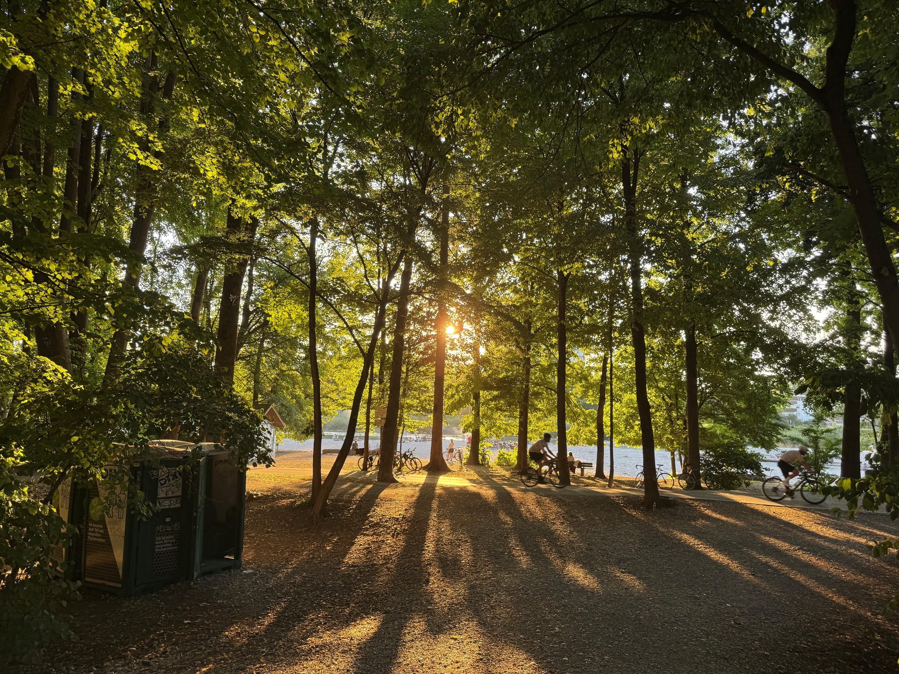München: An der Isar scheint die Sonne durch die Bäume