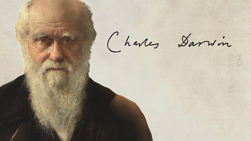 Ein Faszinierendes Forscherleben Charles Darwin