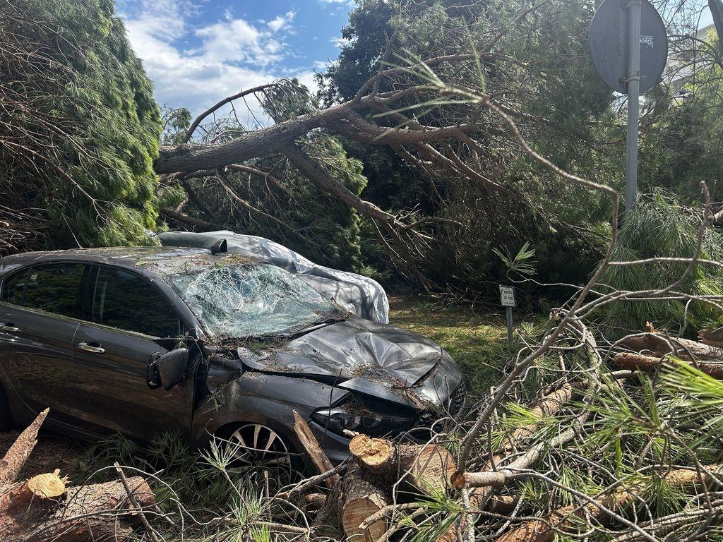 24.08.2025, Italien, Milano Marittima: Ein von umgestürzten Baumen zerstörtes Fahrzeug steht nach einem Unwetter auf einem Platz des Badeortes. Foto: Alessio Marini/LPS via ZUMA Press Wire/dpa +++ dpa-Bildfunk +++