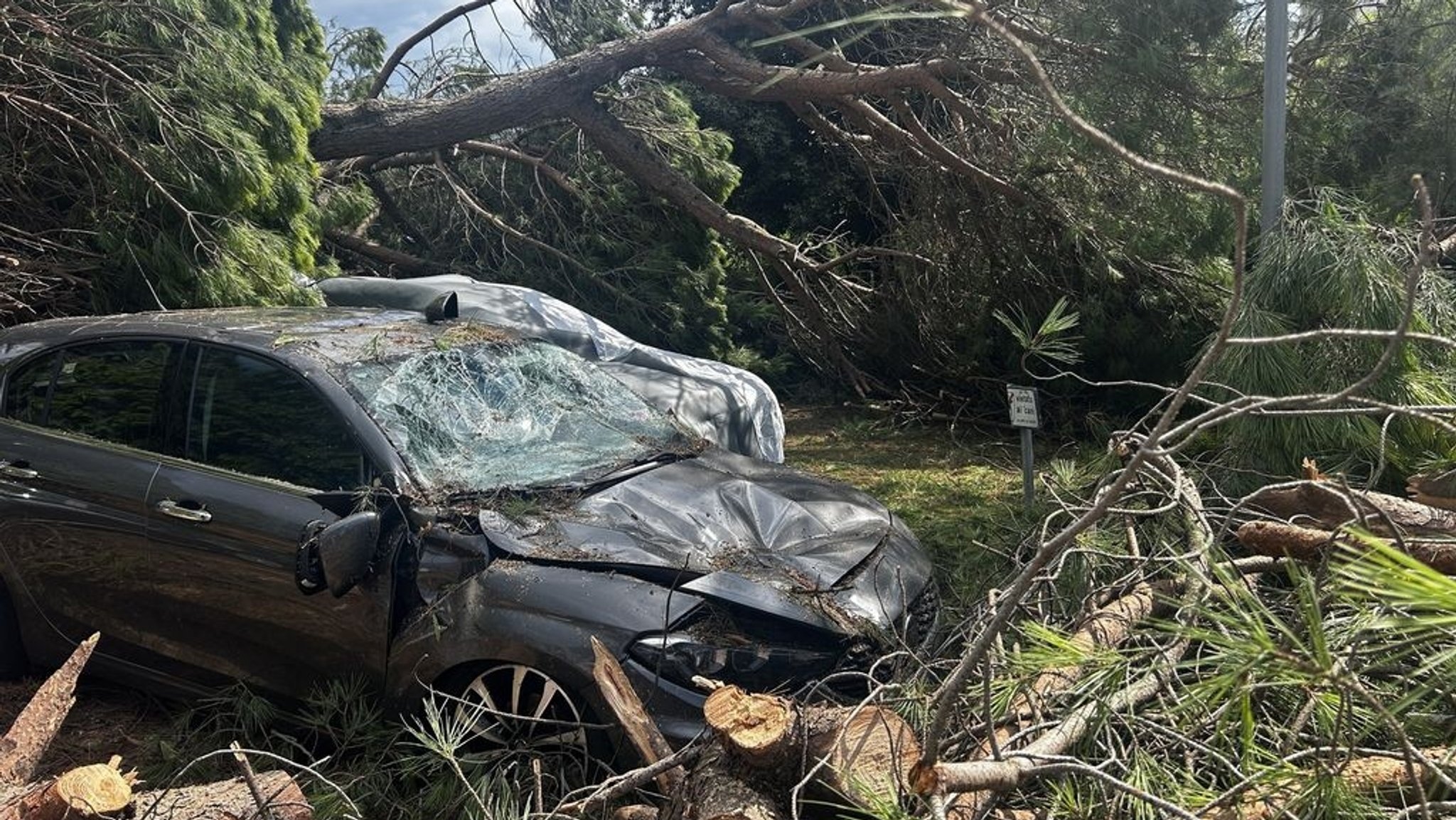 24.08.2025, Italien, Milano Marittima: Ein von umgestürzten Baumen zerstörtes Fahrzeug steht nach einem Unwetter auf einem Platz des Badeortes. Foto: Alessio Marini/LPS via ZUMA Press Wire/dpa +++ dpa-Bildfunk +++
