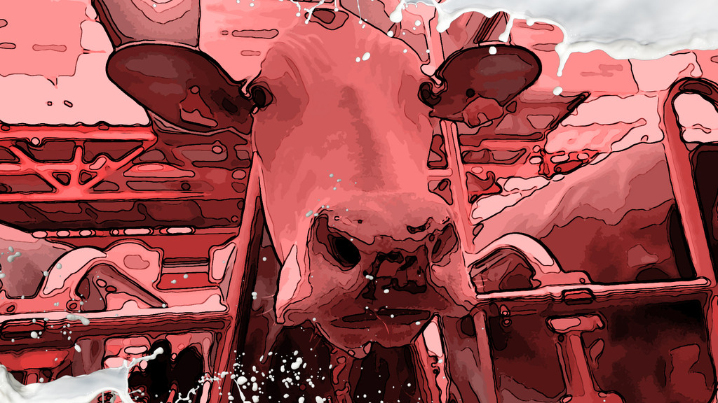 Eine Kuh in einem Milchviehbetrieb