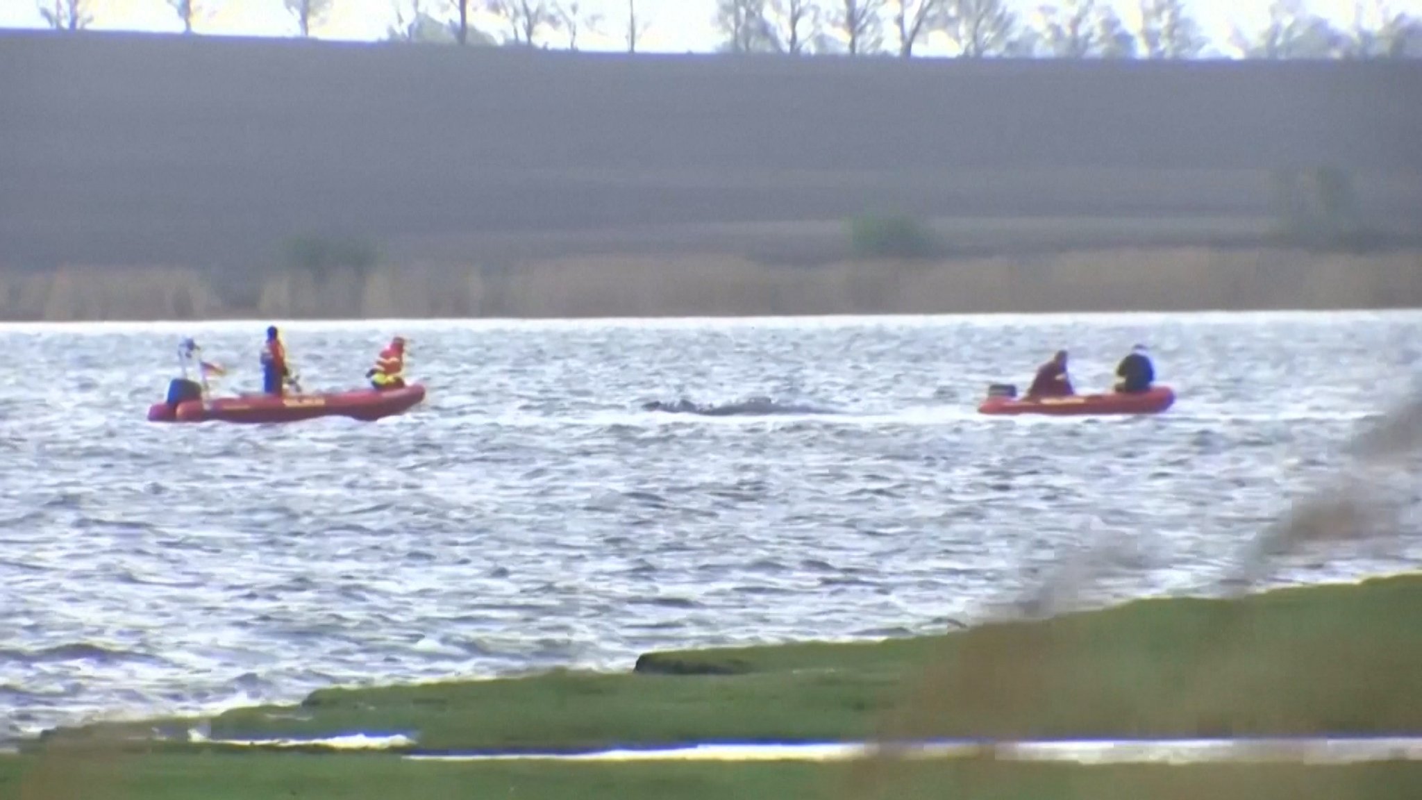 Der vor der Insel Poel verharrende Buckelwal soll zum Weiterschwimmen bewegt werden. 