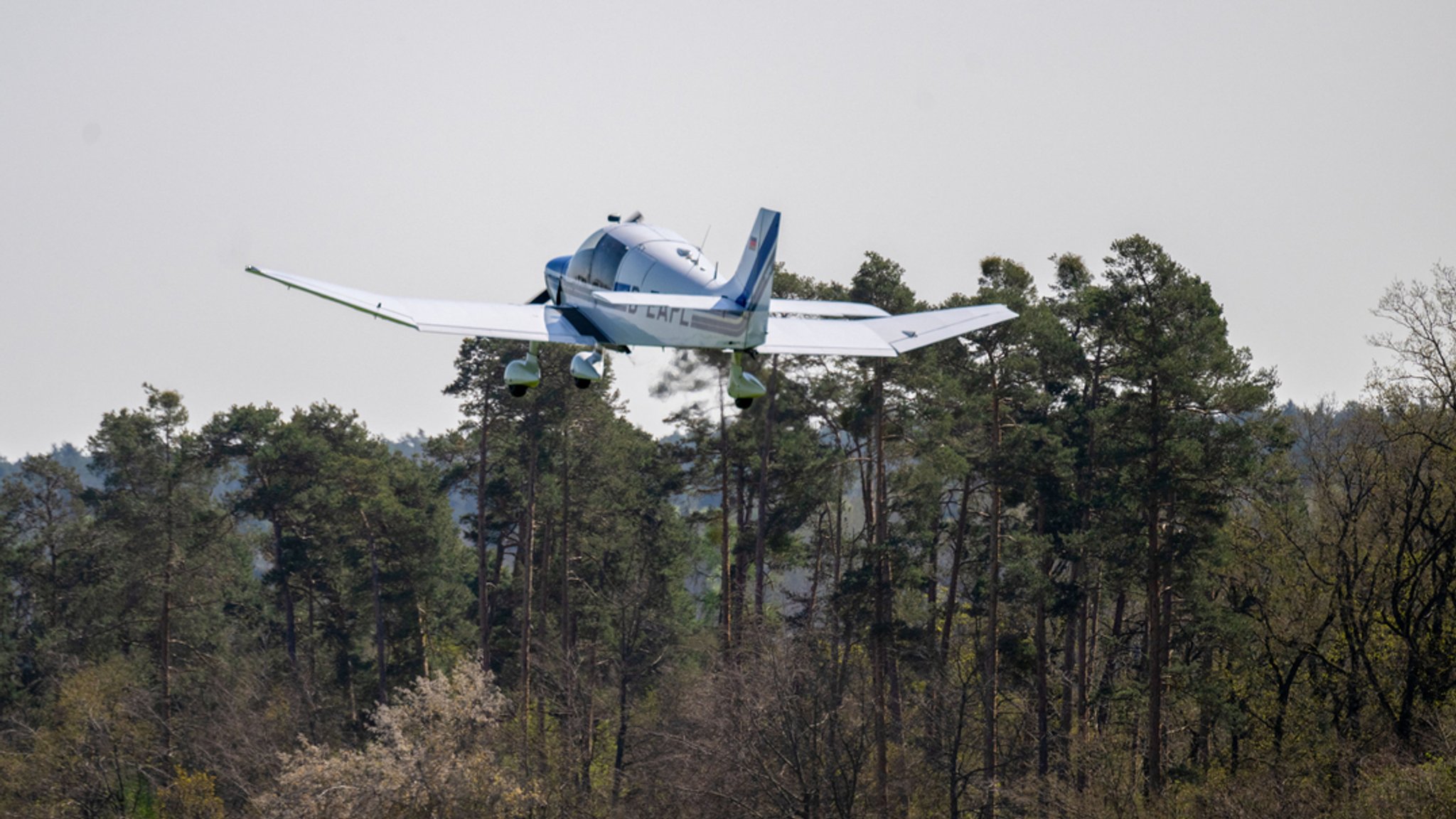 Ein Motorflugzeug fliegt über Bäumen. (Symbolbild)