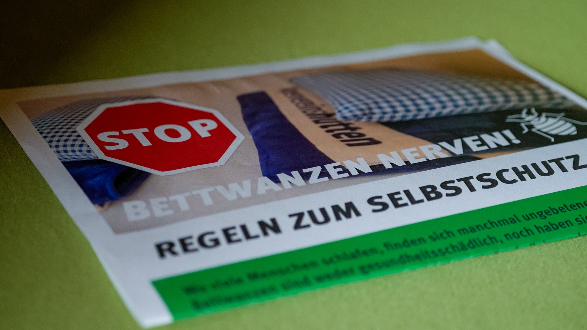 Ein DAV-Flyer informiert über neue Regeln im Kampf gegen Bettwanzen auf Berghütten | Bild: BR/Luis Trautmann Ein DAV-Flyer informiert über neue Regeln im Kampf gegen Bettwanzen auf Berghütten