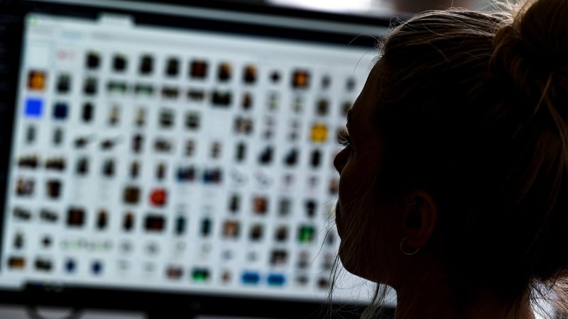 Eine Kriminaloberkommissarin sitzt vor einem Auswertungscomputer. | Bild: dpa-Bildfunk/Arne Dedert Eine Kriminaloberkommissarin sitzt vor einem Auswertungscomputer.