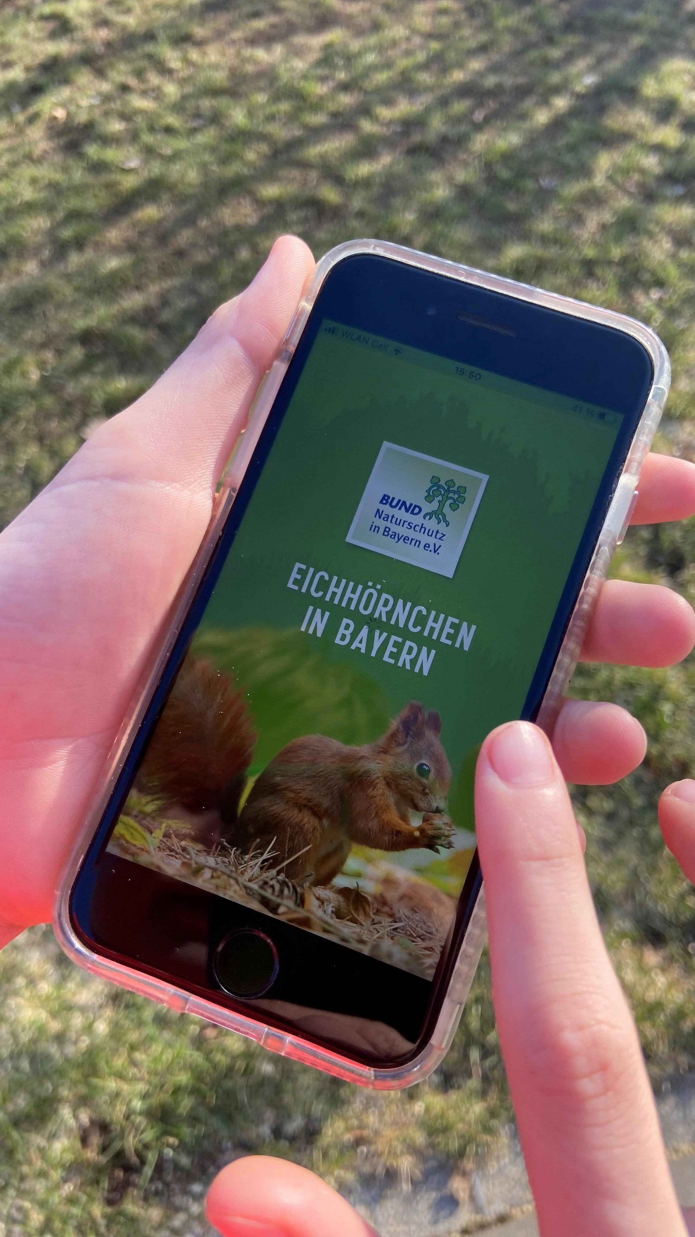 Ein Handy mit der Eichhörnchen-App des Bund Naturschutz