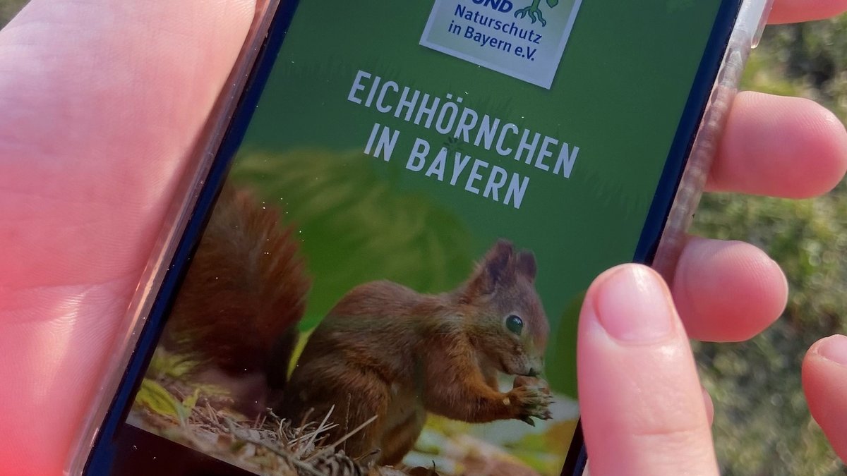 Ein Handy mit der Eichhörnchen-App des Bund Naturschutz