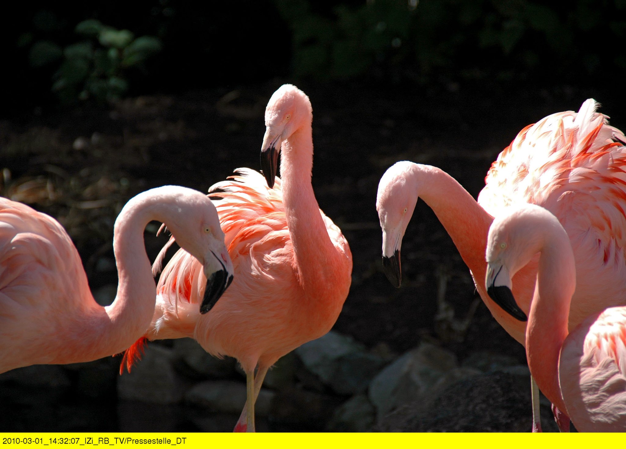 Zoogeschichten aus München