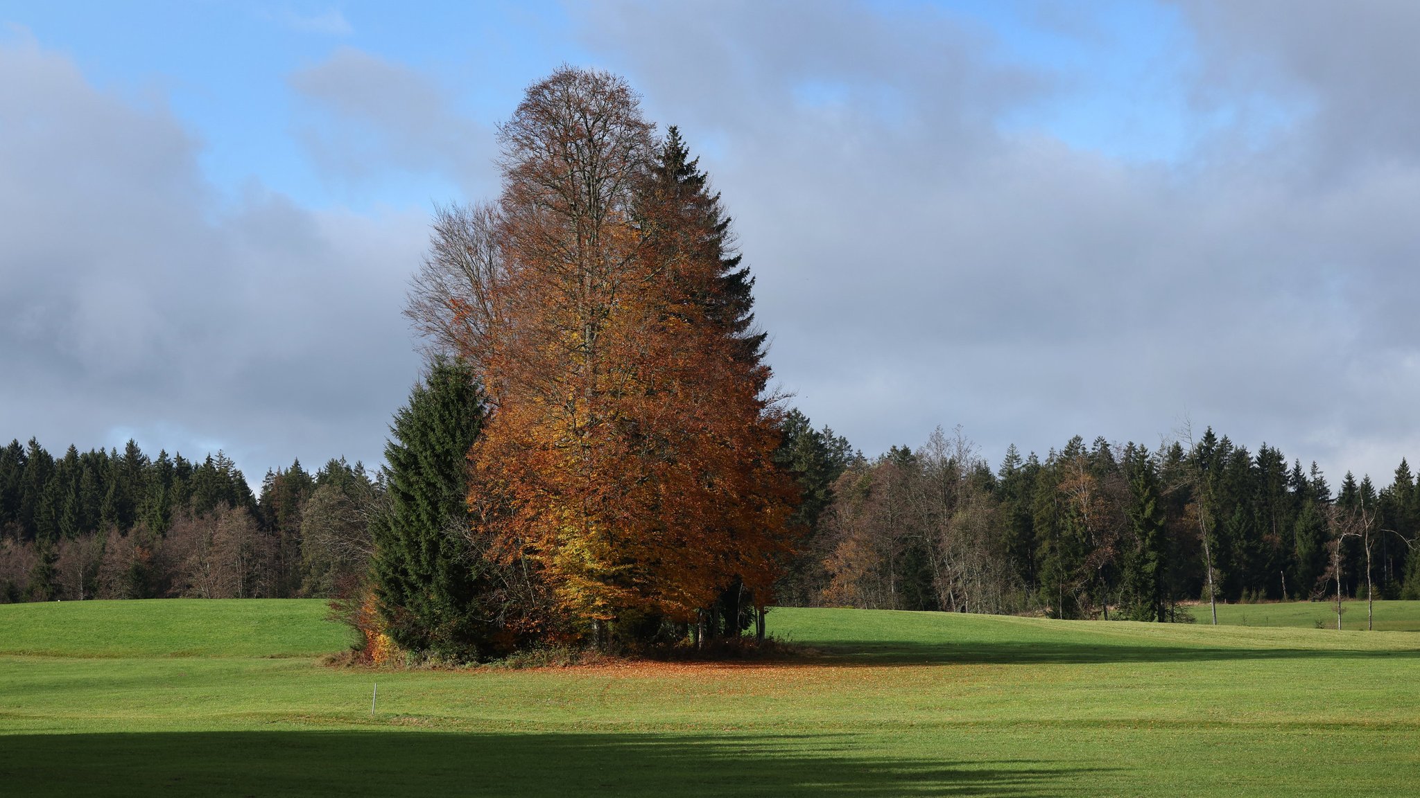 Mildes Herbstwochenende – danach Winterwetter