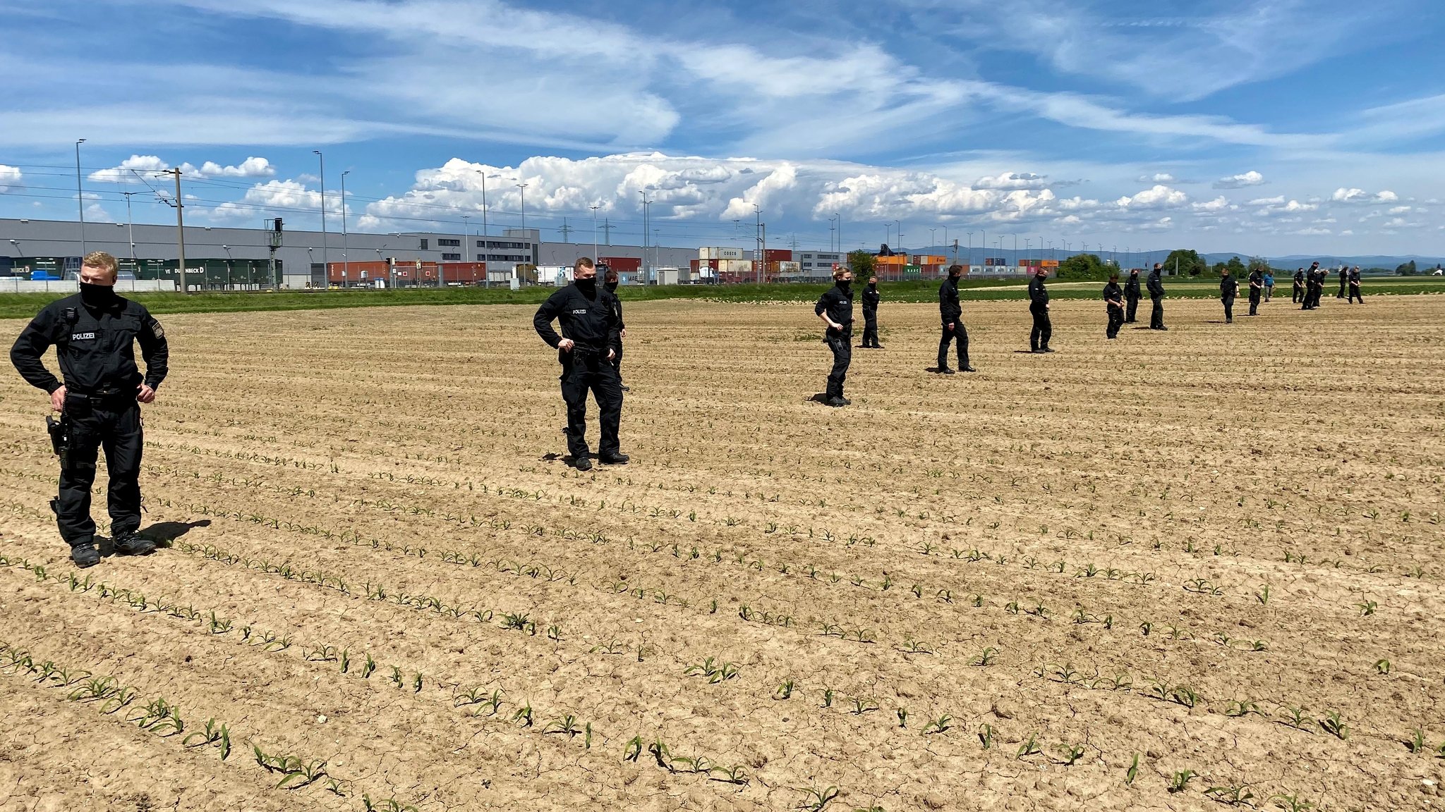 Die Polizei sucht das Feld, auf dem die Leiche gefunden wurde, nochmals ab