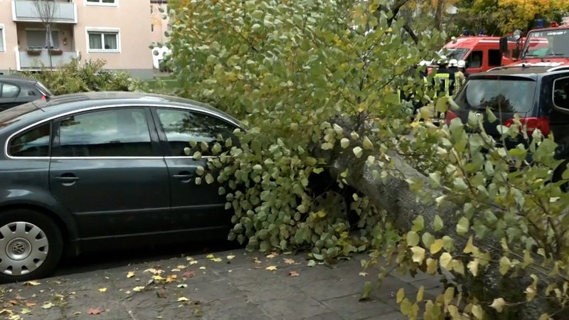 In Oberfranken stürzte ein Baum auf ein geparktes Auto.
