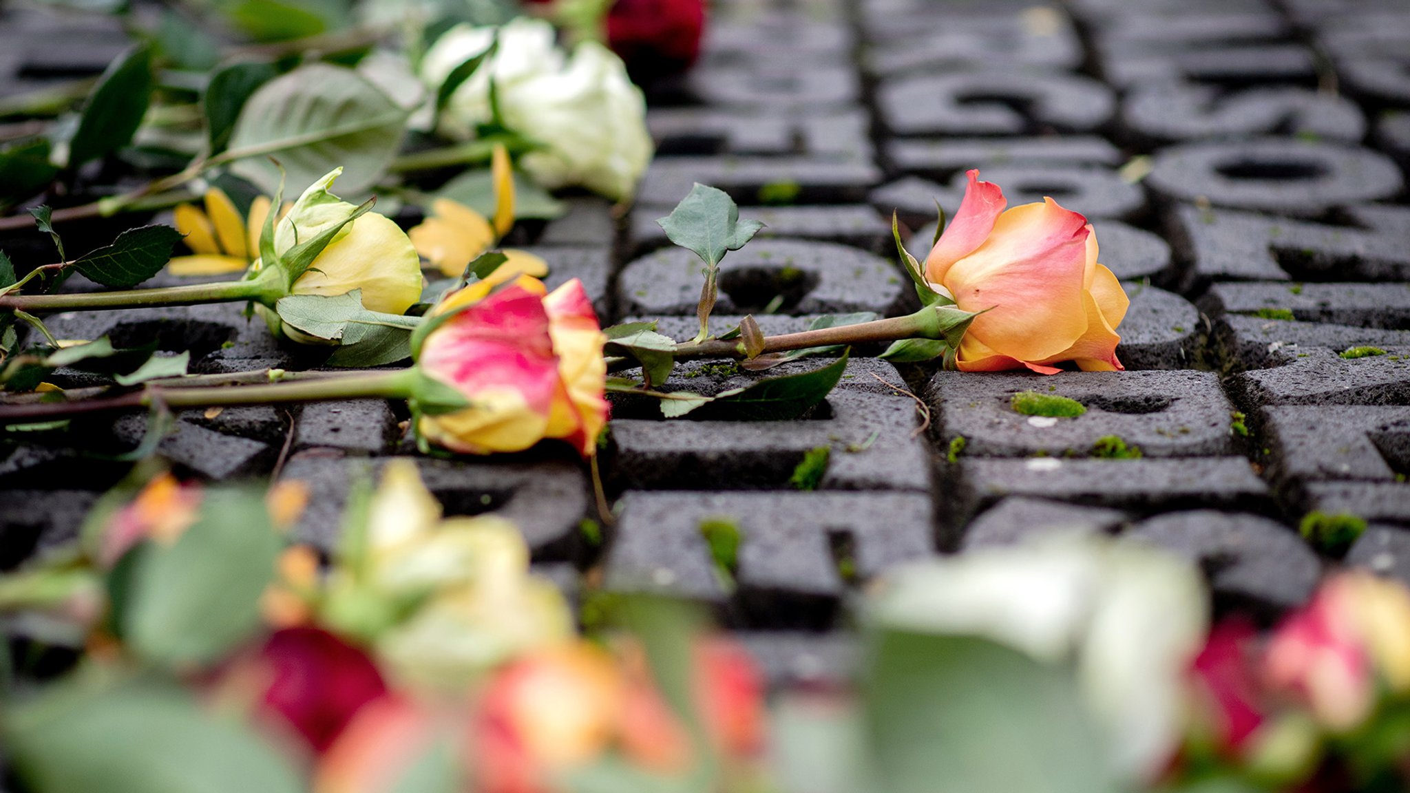 Nürnberg: Holocaust-Gedenken in der Stadt der Reichsparteitage