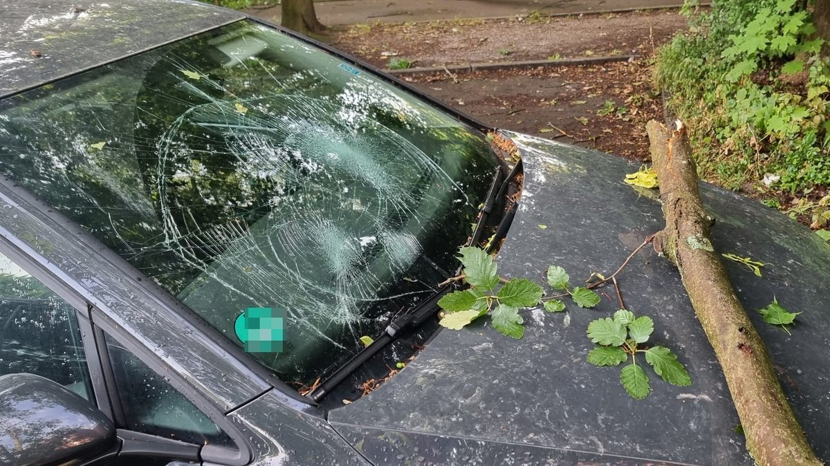 Ein Ast stürzte in Landshut auf ein Auto.