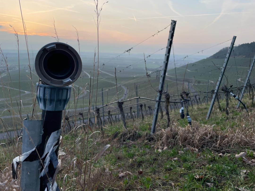 Anlage zur Tröpfchenbewässerung in Iphofen (Lkr. Kitzingen)
