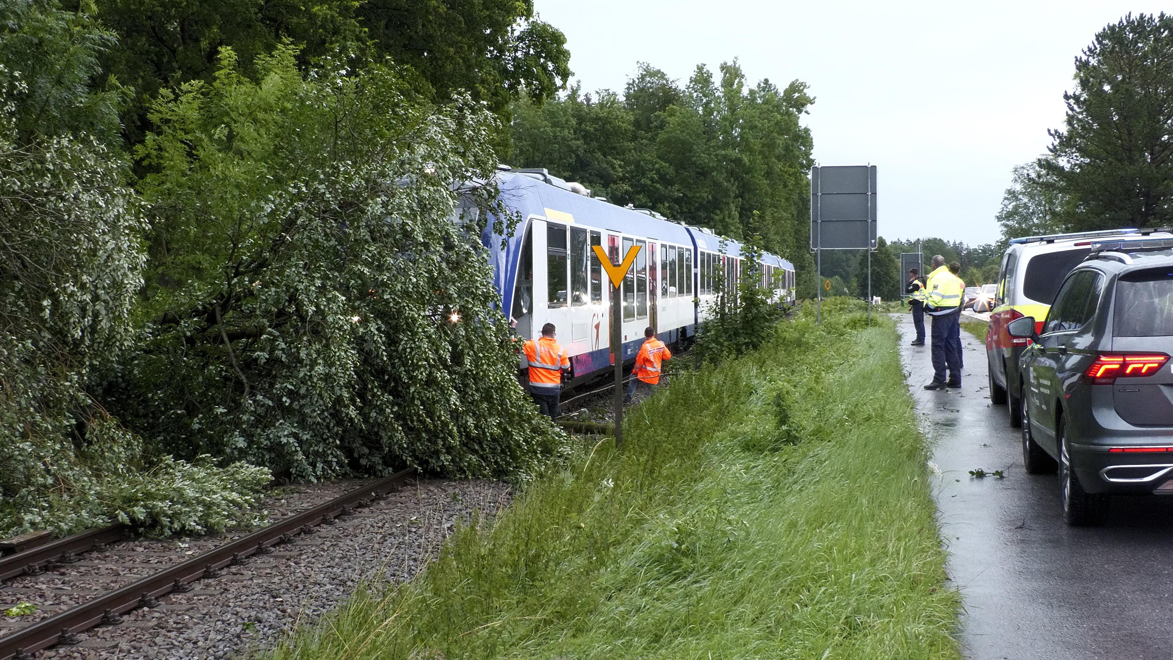 Zug kollidiert mit Baum bei Holzkirchen
