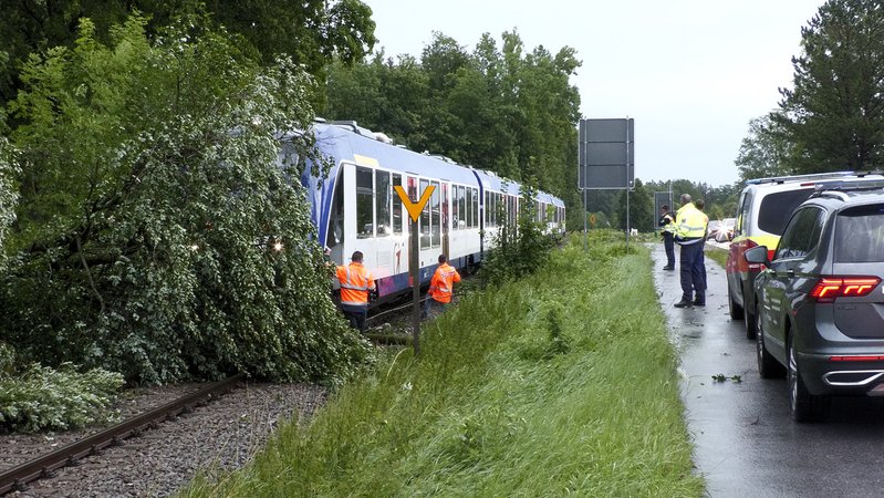 Zug kollidiert mit Baum bei Holzkirchen | Bild: extremwetter.tv / Bernd März Zug kollidiert mit Baum bei Holzkirchen