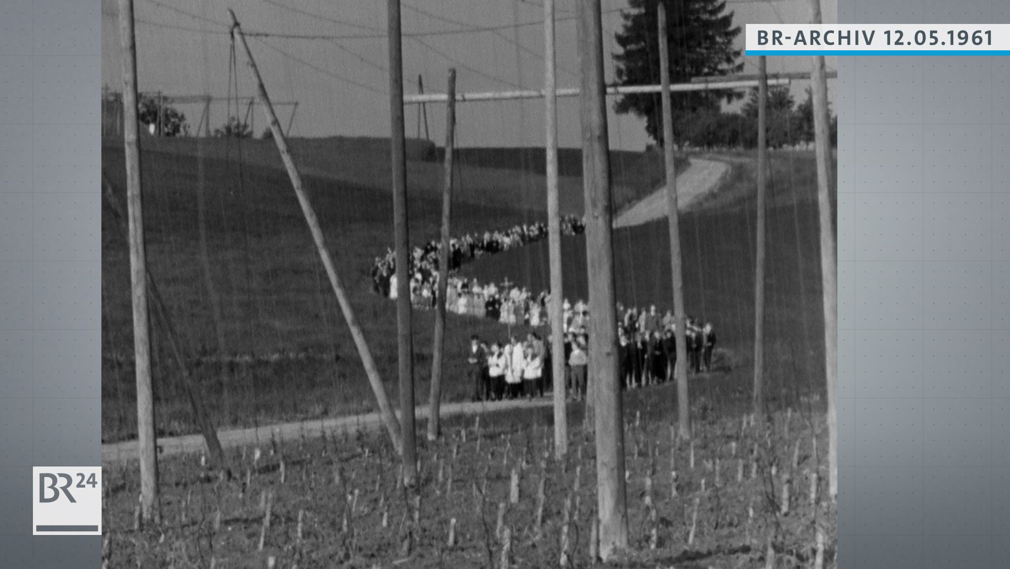 Prozession entlang von Hopfenfeldern