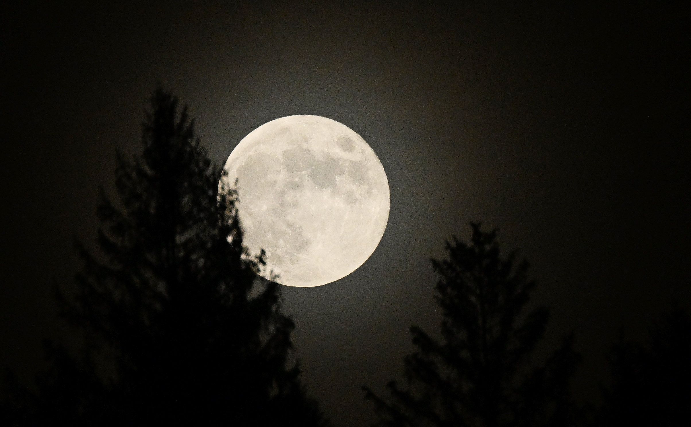 Hoe laat is het op de maan? De wetenschap zoekt snel naar antwoorden Hoe laat is het op de maan? De wetenschap zoekt snel naar antwoorden