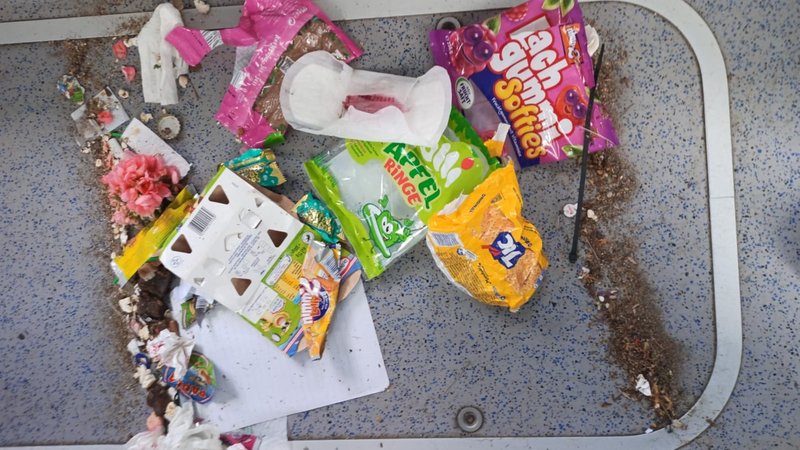 Müllreste einer Schulbusfahrt zwischen dem westlichen Landkreis Fürstenfeldbruck und Dießen am Ammersee. | Bild: Lisa Neumeyr (privat) Müllreste einer Schulbusfahrt zwischen dem westlichen Landkreis Fürstenfeldbruck und Dießen am Ammersee.