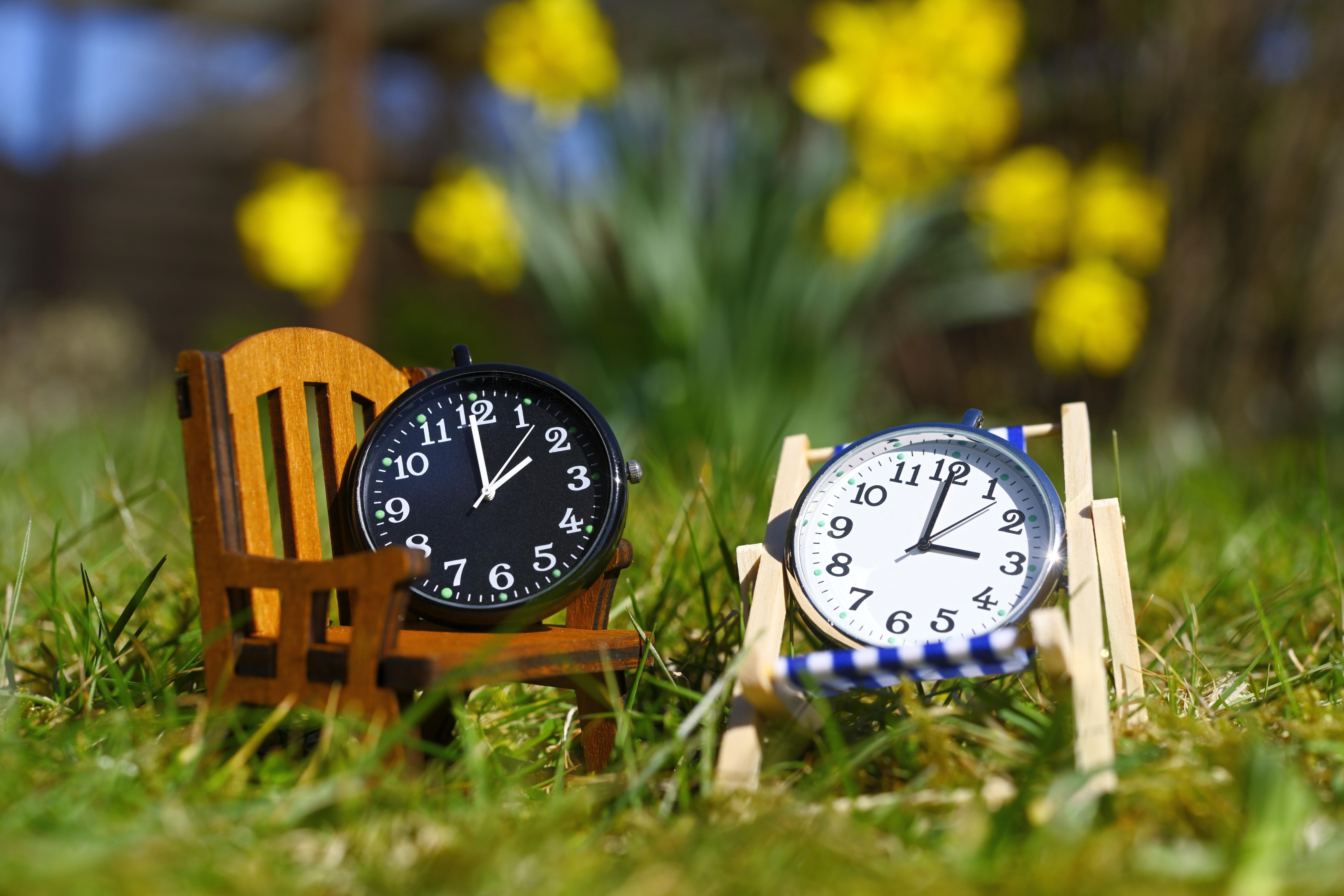 Zwei Wecker im Gras symbolisieren die Umstellung von Winterzeit zu Sommerzeit. 