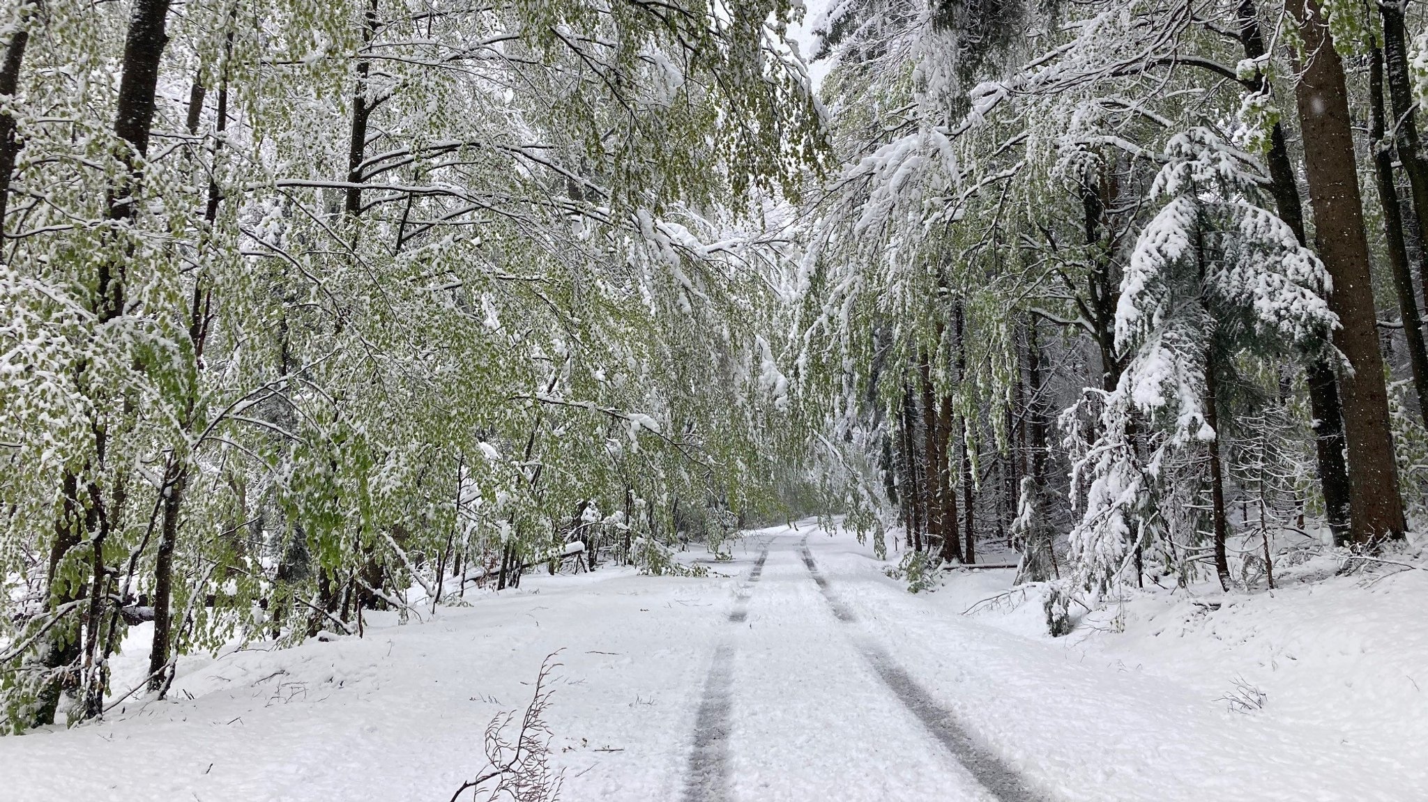 Straße mit Fahrspuren im Schnee