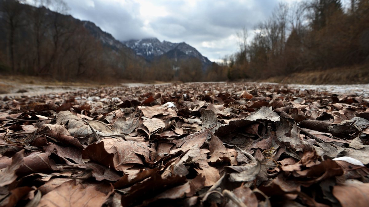 Viel zu wenig Schnee in den Alpen: Massive Trockenheit droht