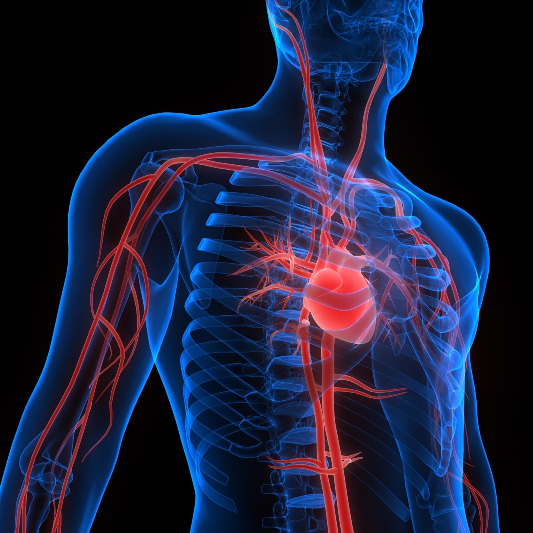 Herz im Dauerstress - So verschärft Umweltverschmutzung Herzschwäche