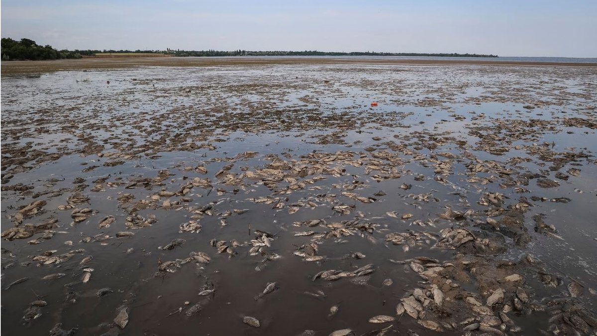 Der leere Kachowka-Stausee auf dessen Grund tote Fische liegen (Aufnahme vom 07.06.23)