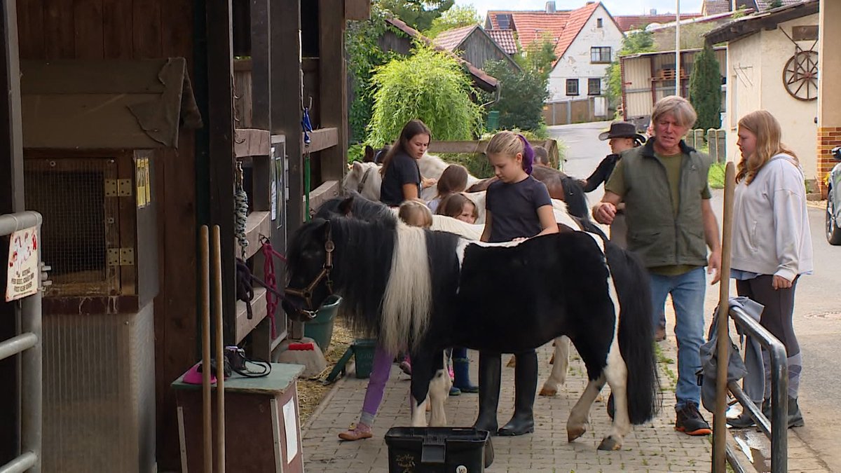 Der Tierschutzhof in Großeibstadt bietet vernachlässigten Tieren ein Zuhause. Doch gestiegene Kosten machen dem Verein zu schaffen.