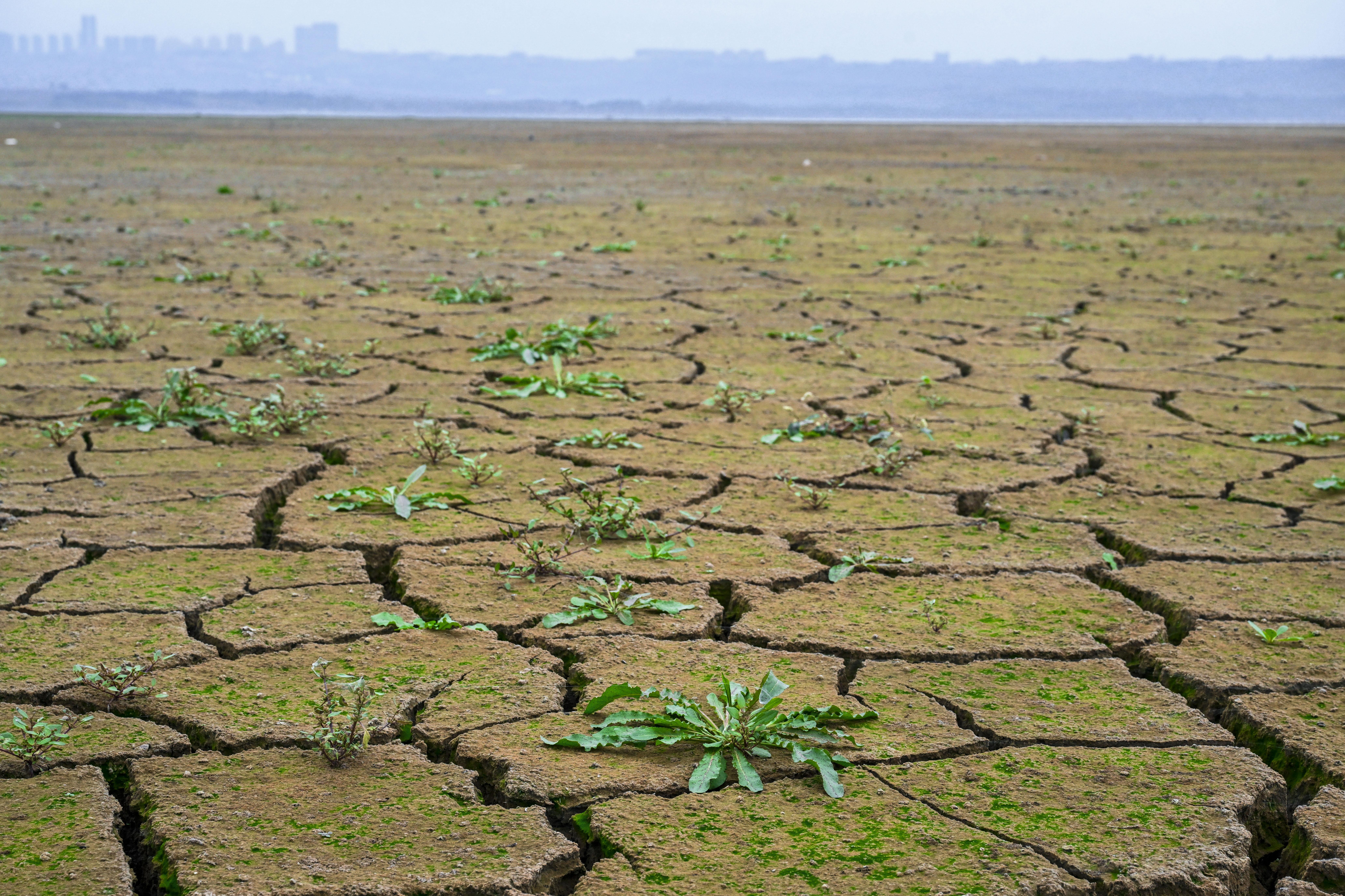Die Erderwärmung trifft die gesamte Menschheit: Es ist 1,3 Grad wärmer als vor der Industrialisierung.